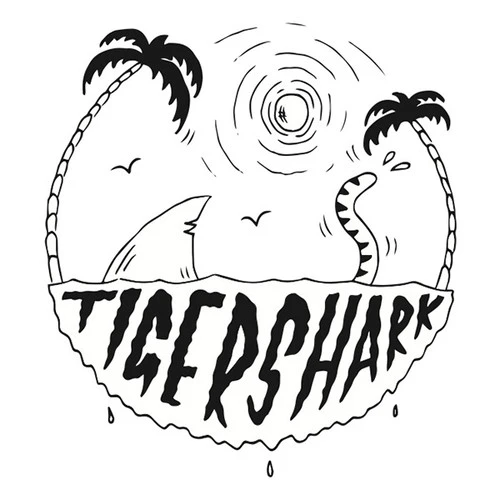 Tigershark | Annesley Surfboards | Small Wave Performance | High Volume | - Image 3